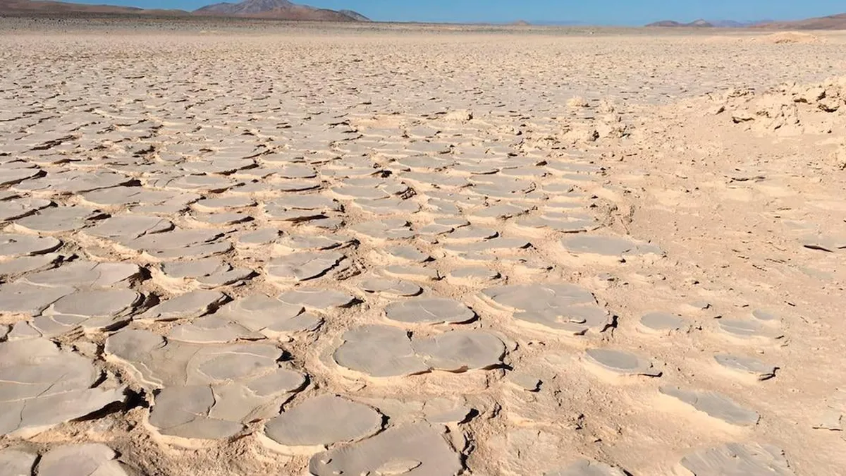 Descubre los secretos del desierto de Atacama y su impacto en la microbiología.