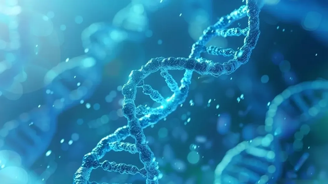 Nueva teoría sobre la hipófisis: clave para entender trastornos hormonales.