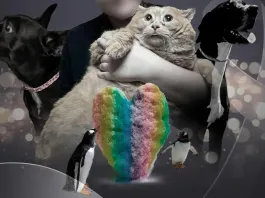 Un homenaje a las mascotas que tocaron nuestros corazones con sus historias.