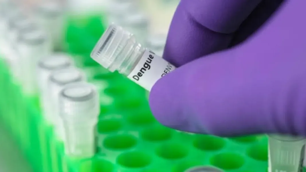 Aumento de casos de dengue en Argentina: brotes anticipados en varias provincias.