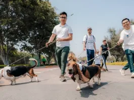 ¡Únete a la divertida corrida familiar con tus perritos en Santiago!