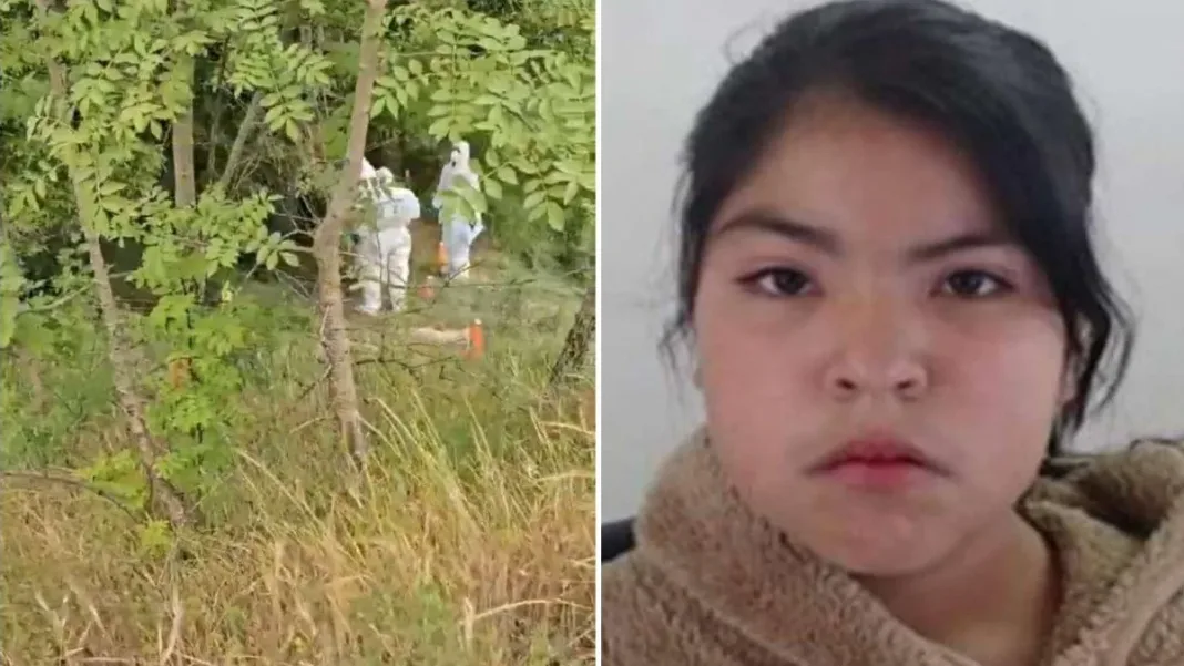 Trágico hallazgo: menor de 15 años encontrada muerta en el Río Cautín.