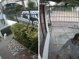 Un delincuente armado robó la camioneta de un hombre de 73 años en su hogar.