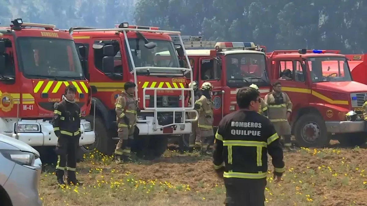 Director de Conaf sobre incendios en Valparaíso: 'Es sospechoso que ocurran'.