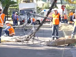 Camión de supermercado derriba postes en La Florida; vecino exige responsabilidad municipal.