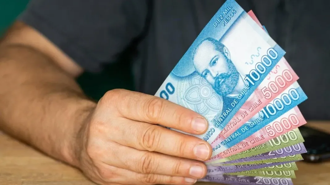 Descubre los bonos disponibles para cesantes en noviembre y sus beneficios.