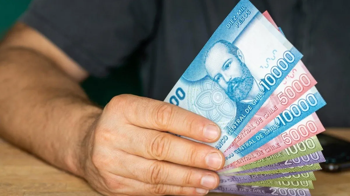 Descubre los bonos disponibles para cesantes en noviembre y sus beneficios.