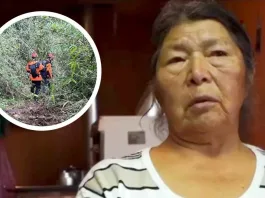 La nieta de la mujer desaparecida revela amenazas previas a su desaparición.