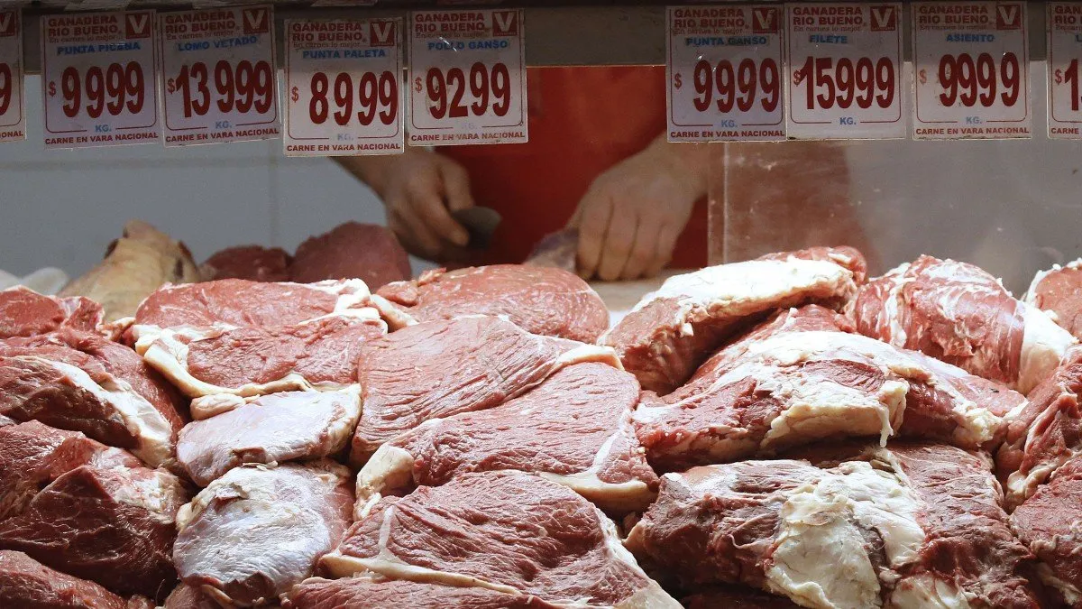Razones clave para la reorganización judicial de una empresa de carnes en crisis.