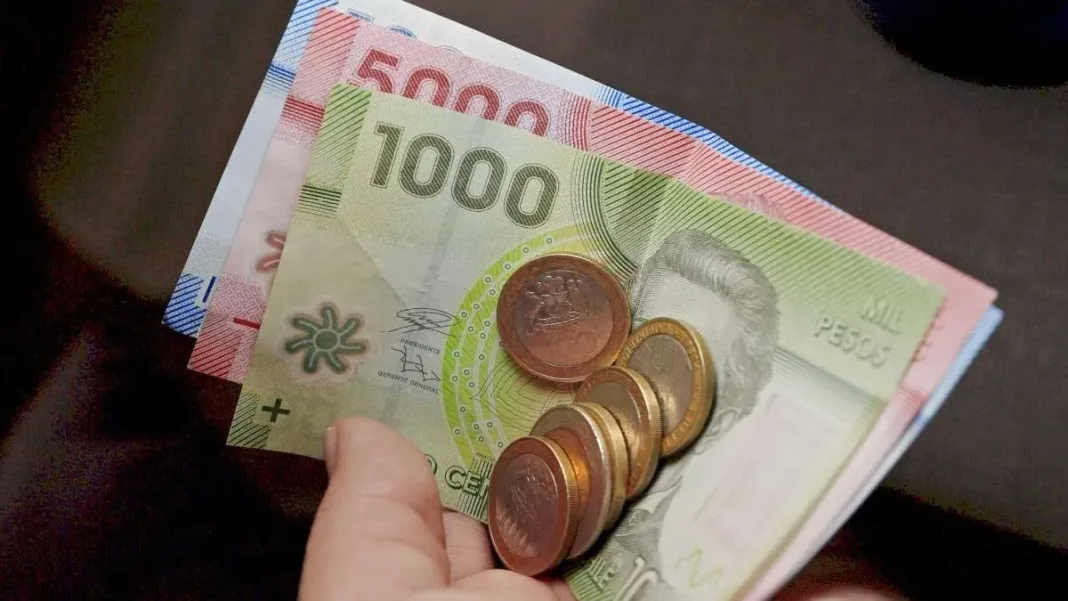 Explora cuándo y cómo se otorgan los bonos de desempeño laboral.