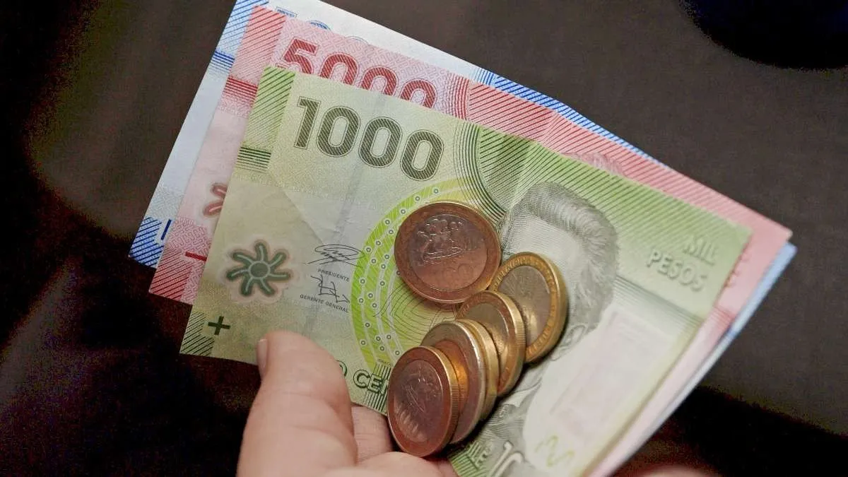 Explora cuándo y cómo se otorgan los bonos de desempeño laboral.