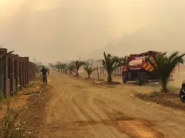 Incendios forestales afectan más de 320 hectáreas en Melipilla y Padre Hurtado.