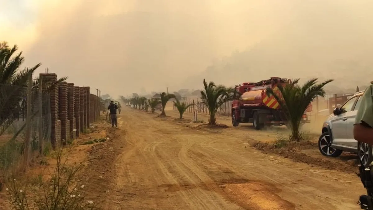 Incendios forestales afectan más de 320 hectáreas en Melipilla y Padre Hurtado. Incendios forestales afectan más de 320 hectáreas en Melipilla y Padre Hurtado.