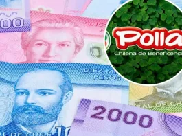 Descubre los RUT de los 18 ganadores de $3 millones en La Suerte de Ser Chileno 2024.