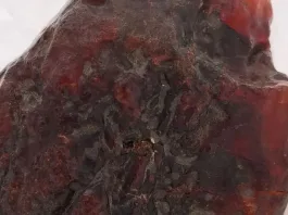 Anciana revela que su tope de puerta era un valioso tesoro de ámbar en Rumanía.