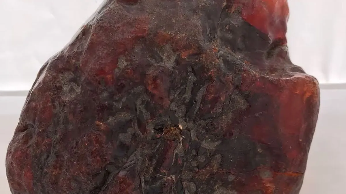 Anciana revela que su tope de puerta era un valioso tesoro de ámbar en Rumanía. Anciana revela que su tope de puerta era un valioso tesoro de ámbar en Rumanía.