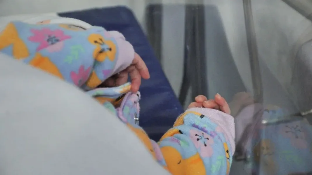 Tragedia en el Maule: pitbull ataca y causa la muerte de una lactante.