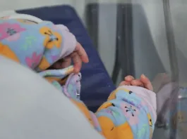 Tragedia en el Maule: pitbull ataca y causa la muerte de una lactante.