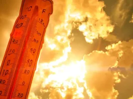 Zona central de Chile en alerta: ola de calor y riesgo de incendios.