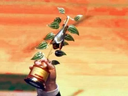 Descubre los nominados al Copihue de Oro 2024