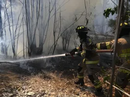 Incendios en Limache: evacuación urgente en el Valle Las Mellizas.