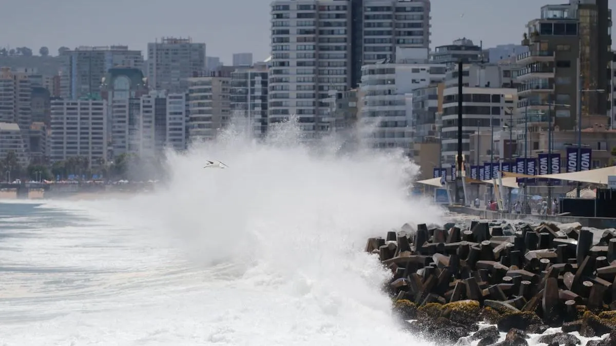 Hombre detenido por ingresar al mar ebrio durante marejadas en Viña del Mar.