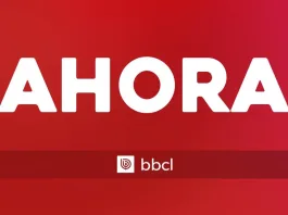 Cráneo hallado en Villarrica podría ser de hombre desaparecido en 2016.