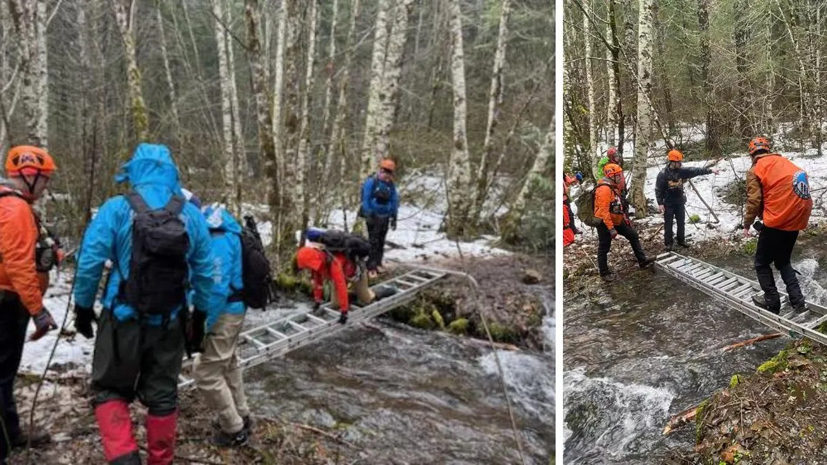Tragedia en el bosque: dos hombres desaparecen buscando a 'Pie Grande'.
