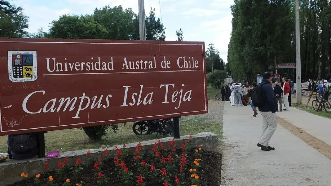 La UACh planea votar por un nuevo rector en 2025 tras el proceso de la Superintendencia. La UACh planea votar por un nuevo rector en 2025 tras el proceso de la Superintendencia.