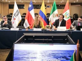 Desafíos compartidos: déficit de capital humano y modernización en la Alianza del Pacífico.