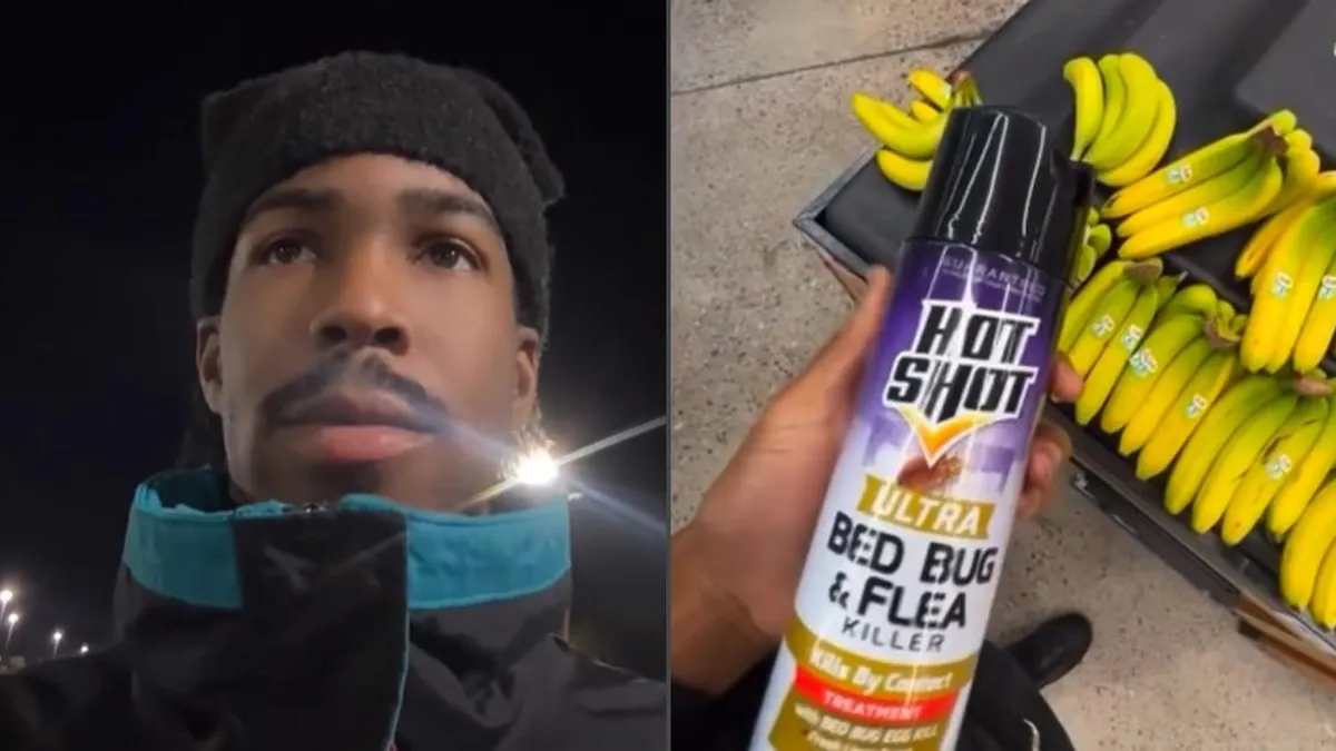 Un tiktoker enfrenta cargos por rociar pesticida en alimentos de Walmart. Un tiktoker enfrenta cargos por rociar pesticida en alimentos de Walmart.