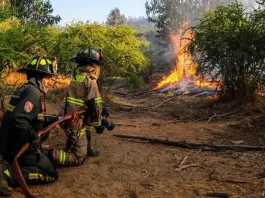 Evacuación en Las Cabras por incendio forestal