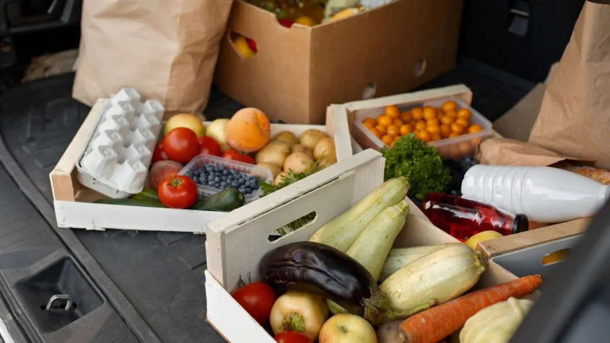 Crisis económica de distribuidora vinculada a familia Paulmann: causas y consecuencias.