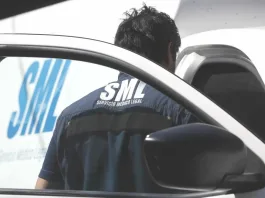 Tragedia en Nochebuena: madre fallece al intentar salvar a un gatito en Concepción.