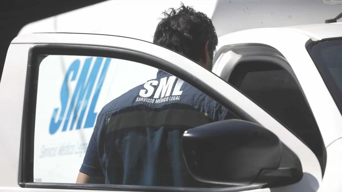 Tragedia en Nochebuena: madre fallece al intentar salvar a un gatito en Concepción.