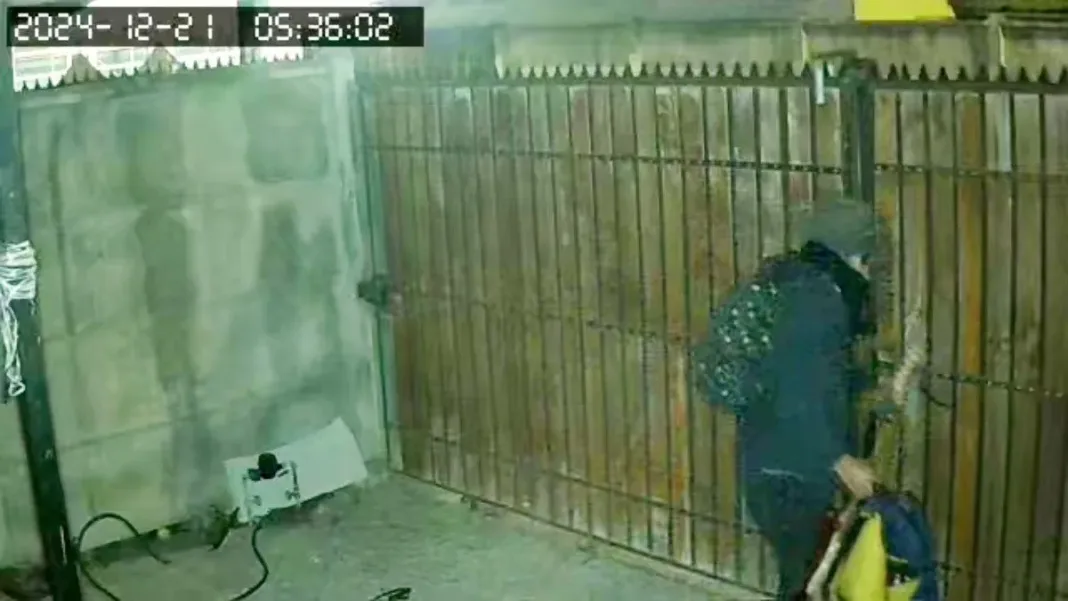 Un Grinch moderno roba regalos y arruina la Navidad en La Calera.