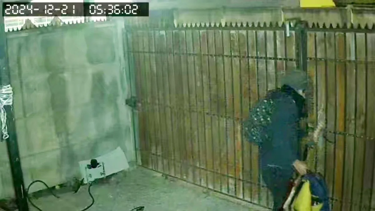 Un Grinch moderno roba regalos y arruina la Navidad en La Calera.