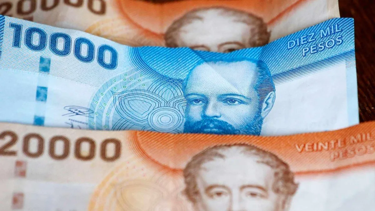 Consulta tu RUT y verifica si accedes al Bono por Hijo 2024.