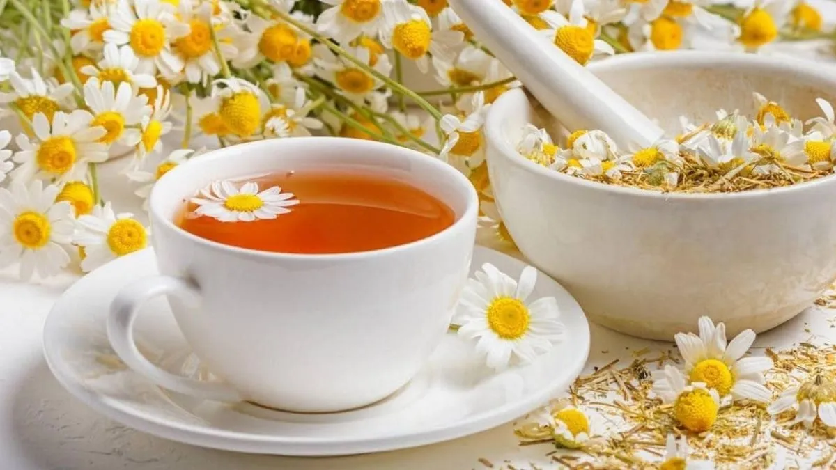 El té de manzanilla: tu aliado perfecto para recuperarte de los excesos festivos. El té de manzanilla: tu aliado perfecto para recuperarte de los excesos festivos.