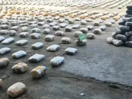 Carabineros confiscan 2 toneladas de marihuana en Antofagasta.