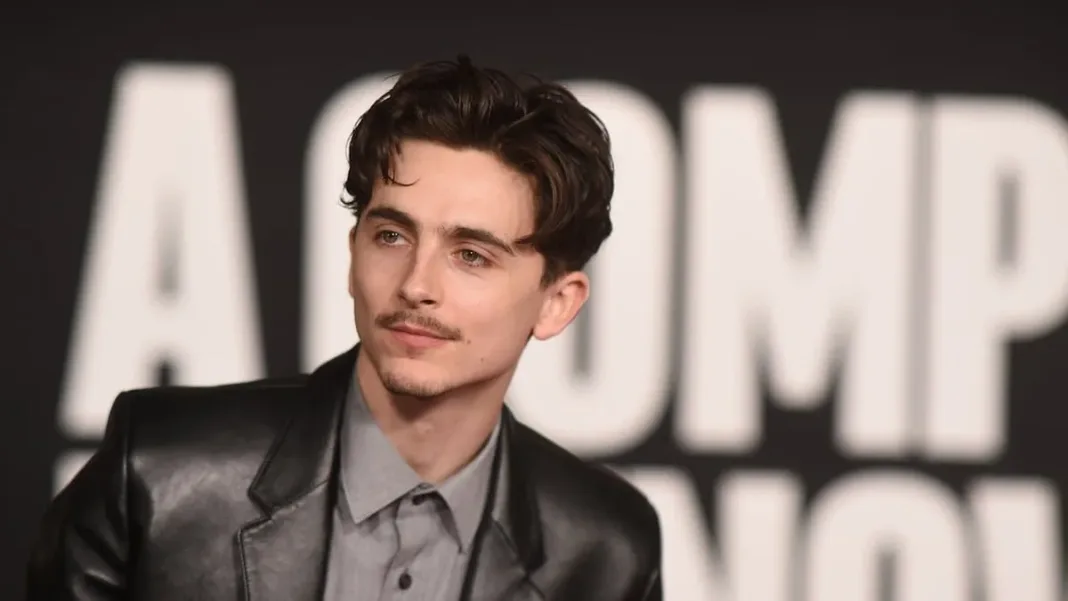 Timothée Chalamet comparte sus sentimientos sobre perder premios de actuación.