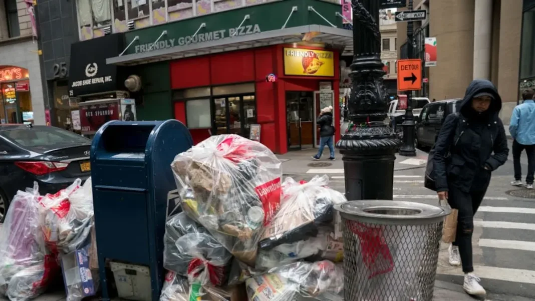 Descubre las ciudades con mayor población de ratas en EE.UU. y el mundo.