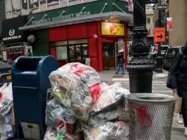 Descubre las ciudades con mayor población de ratas en EE.UU. y el mundo.