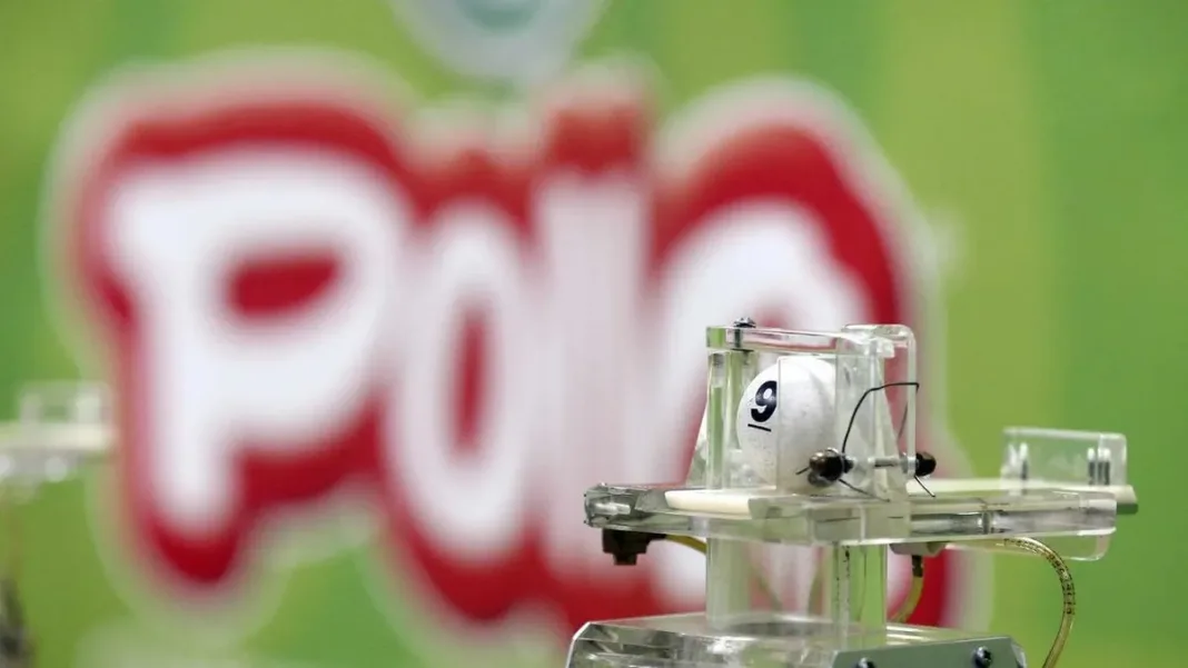 Participa en el último sorteo de 