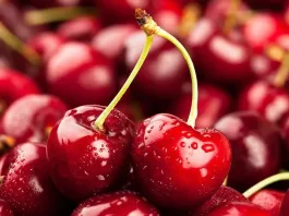 Cerezas chilenas de la Región de O´Higgins