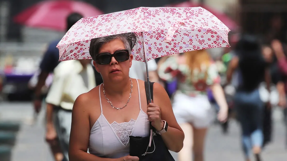 Ola de Calor en Santiago Región Metropolitana