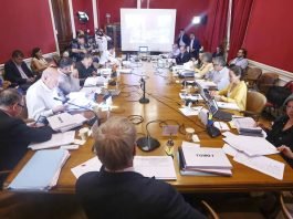 Senado Reforma Pensiones