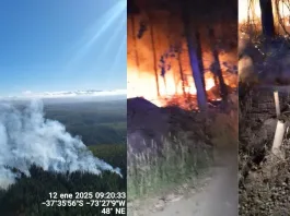 Incendios intencionales en Los Álamos: velas como origen del fuego.