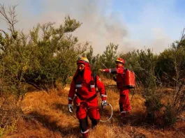 Tragedia en La Araucanía: 3 brigadistas muertos y 9 heridos en incendio forestal.