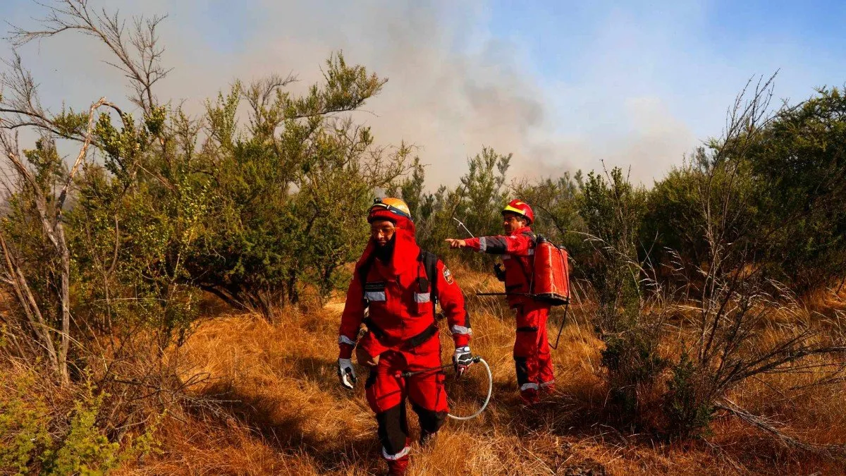 Tragedia en La Araucanía: 3 brigadistas muertos y 9 heridos en incendio forestal.